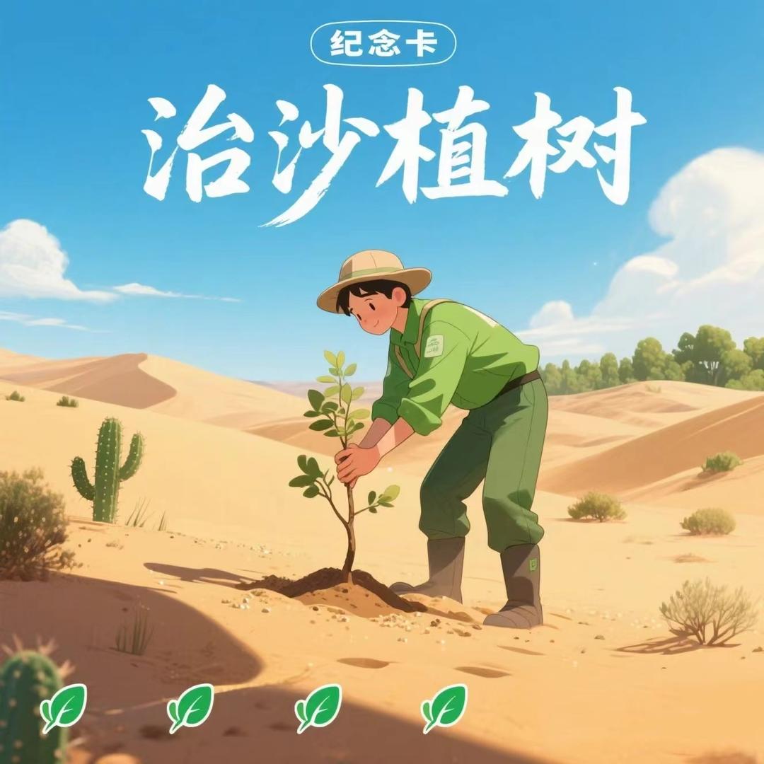 幼苗的沙漠日记