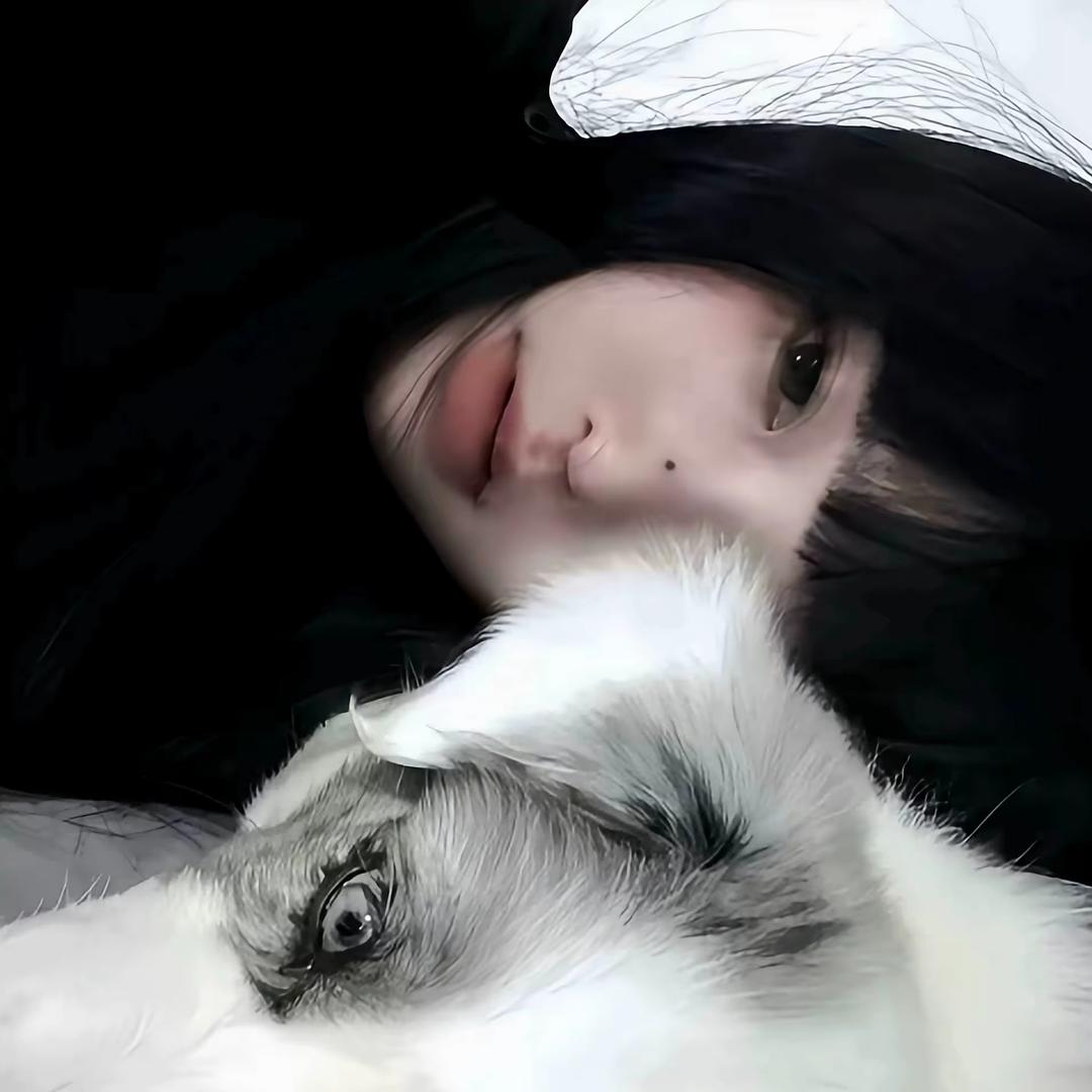 雨