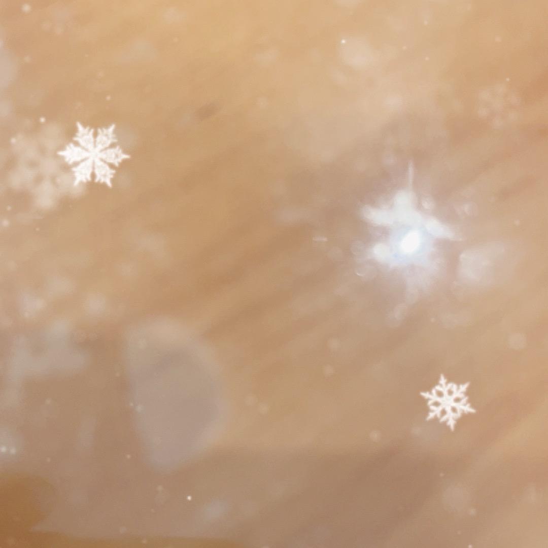 11月12