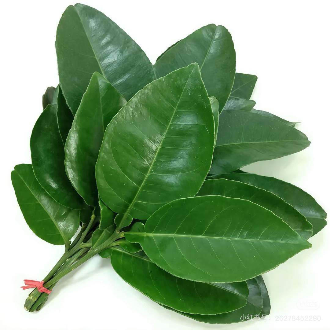 趴着睡