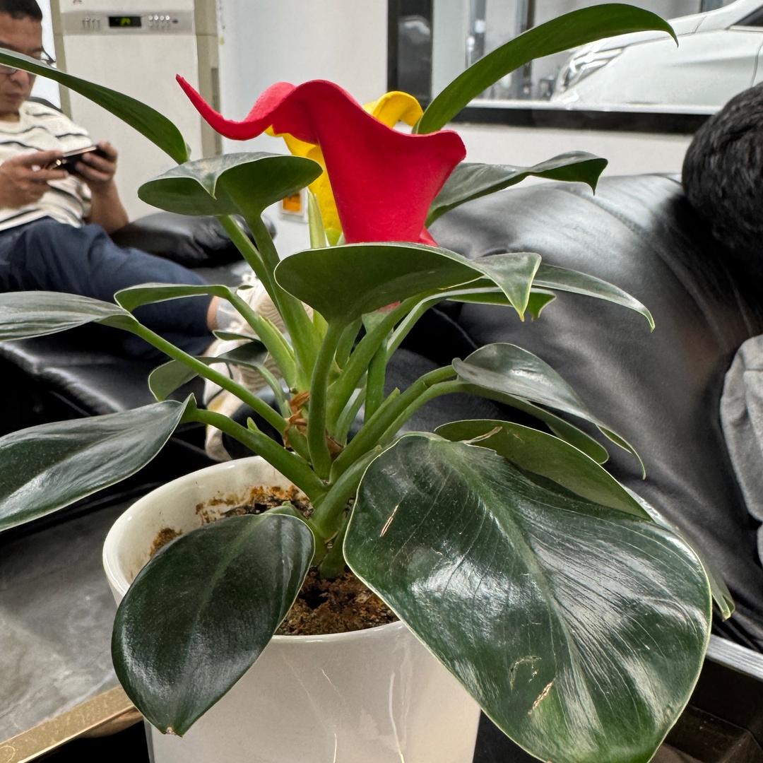 慧儿（暖心小店）0908