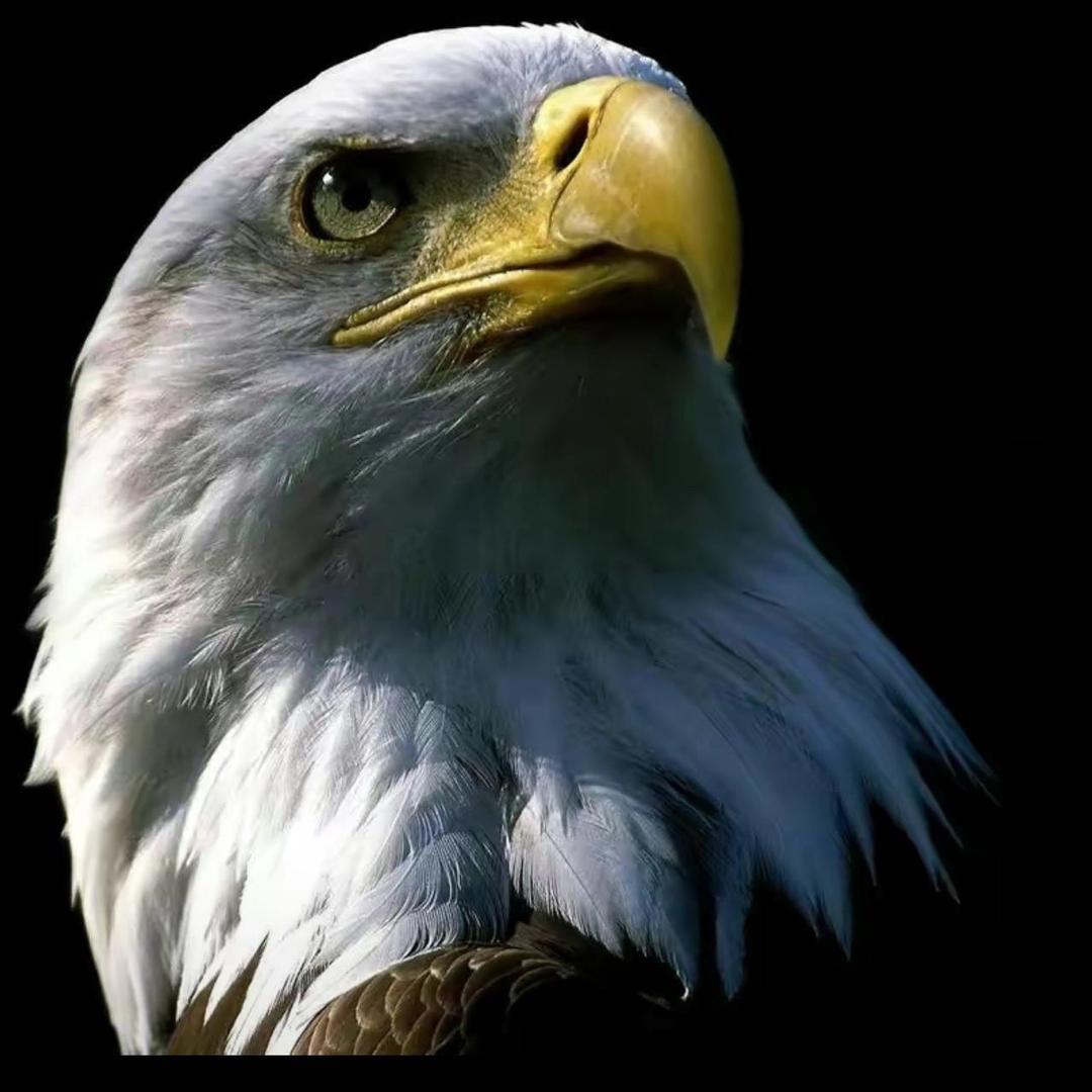 兰州万盛五金建材大批发