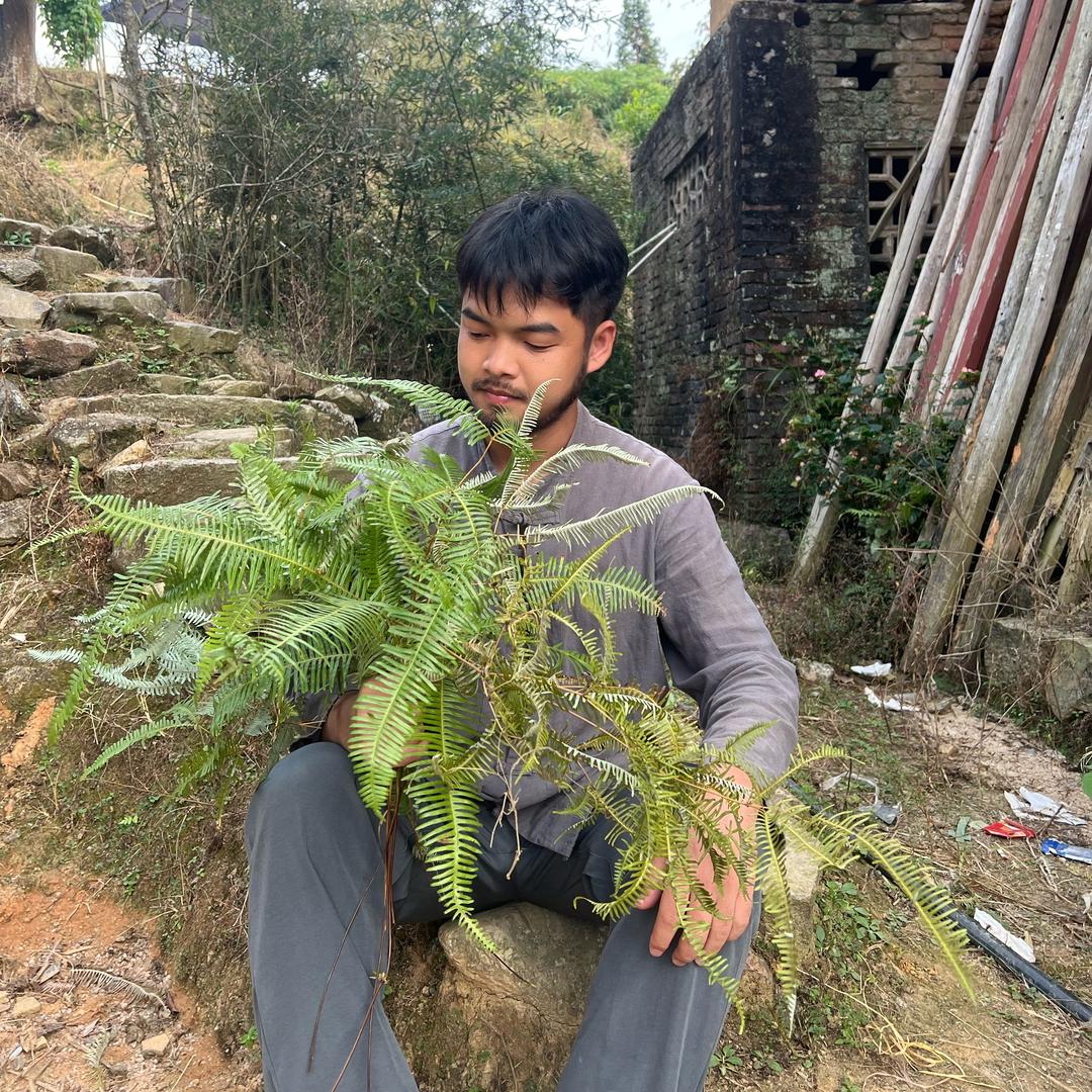 苗疆爷孙结善缘