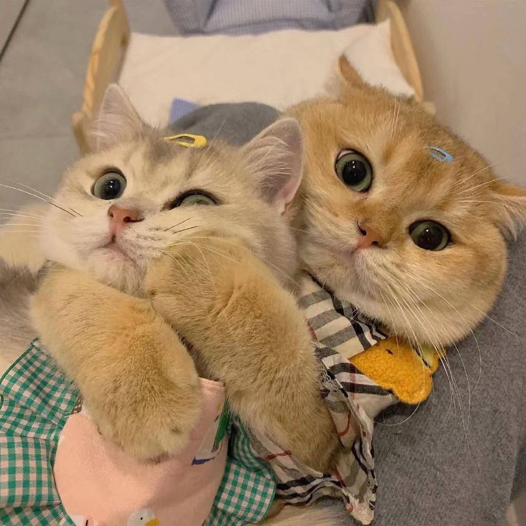 奥特曼