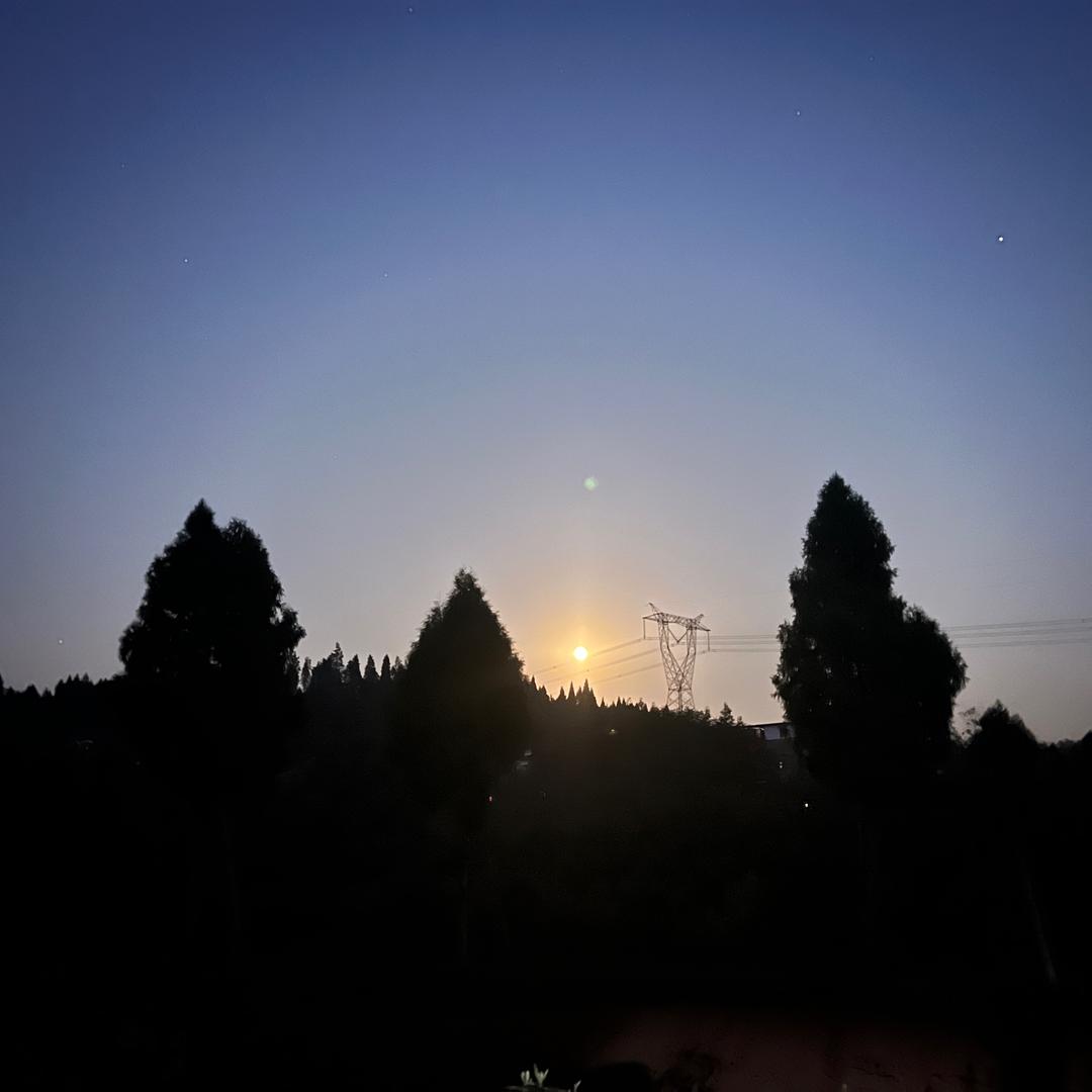煮酒慰红尘
