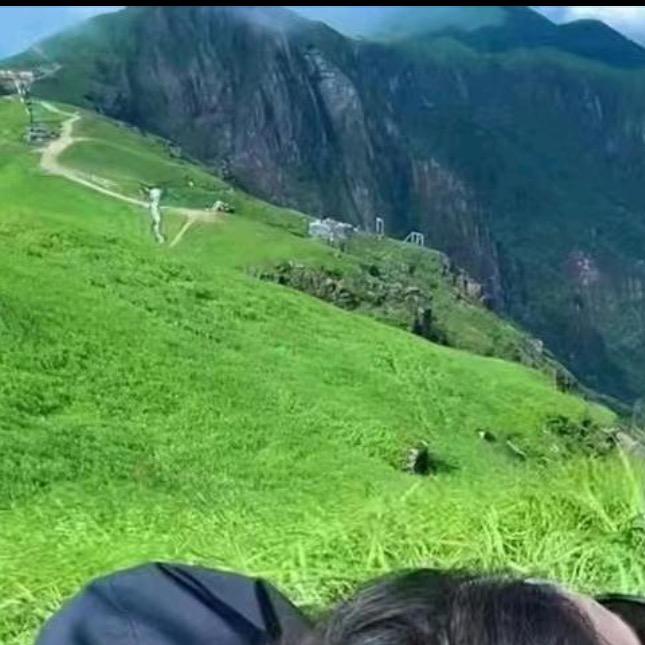 谍影重重的安平妃头像