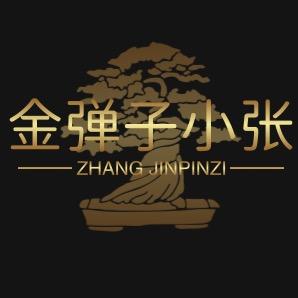春涵花卉盆景