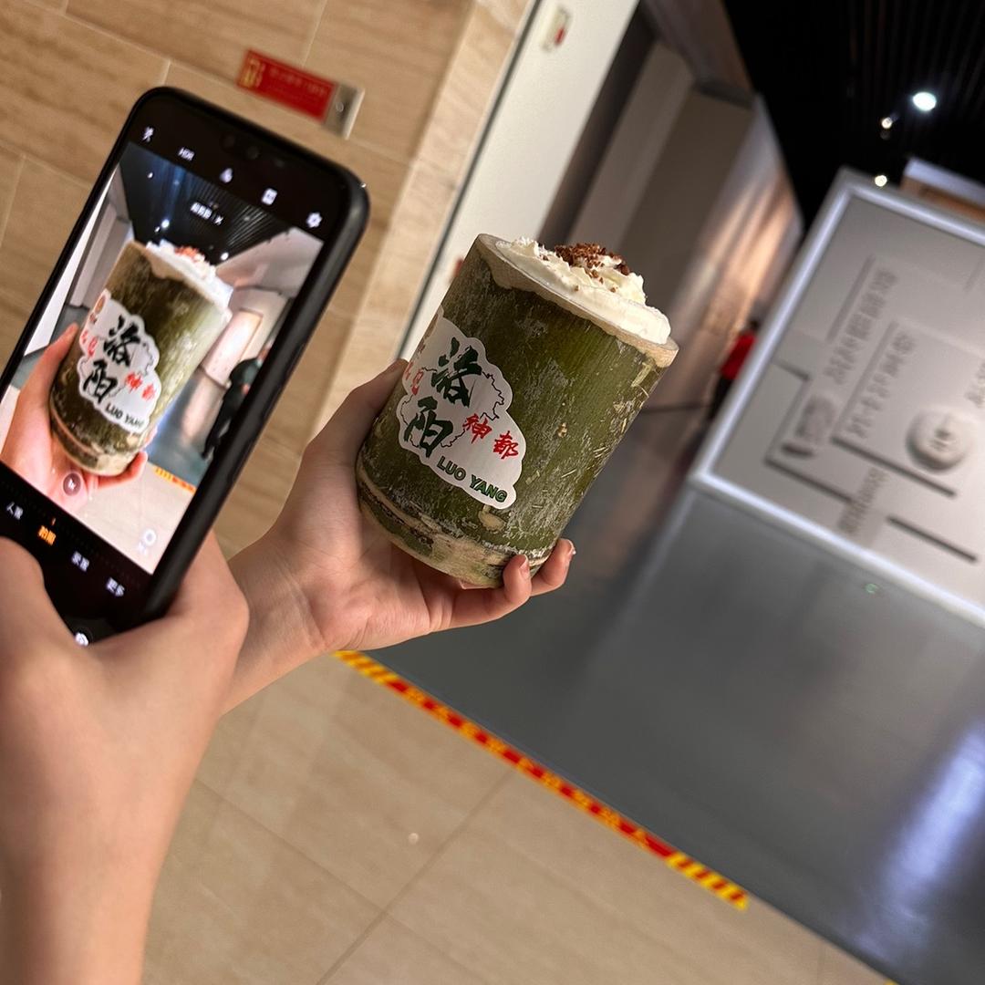 三只小家伙的铲屎官头像