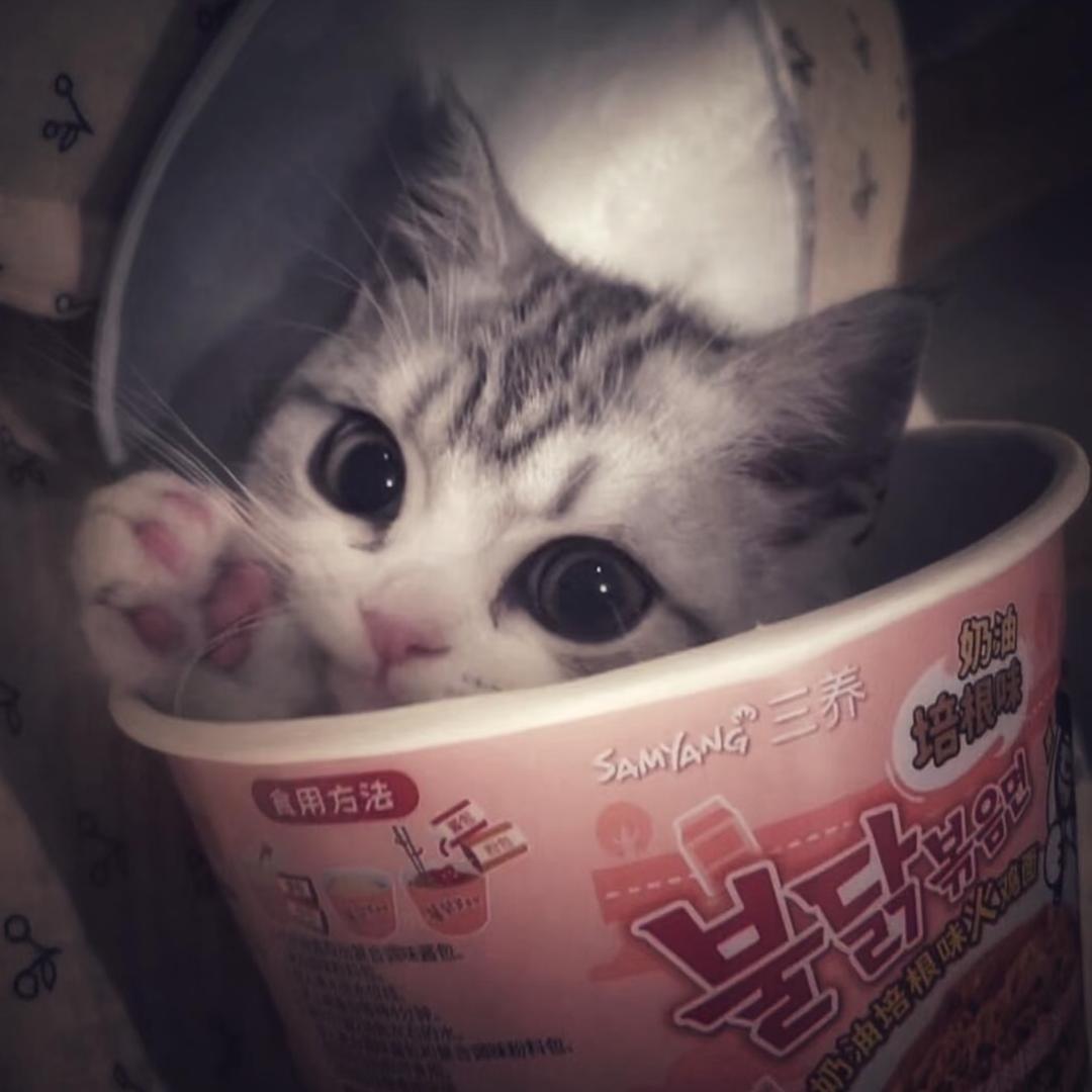 有点子好运💵