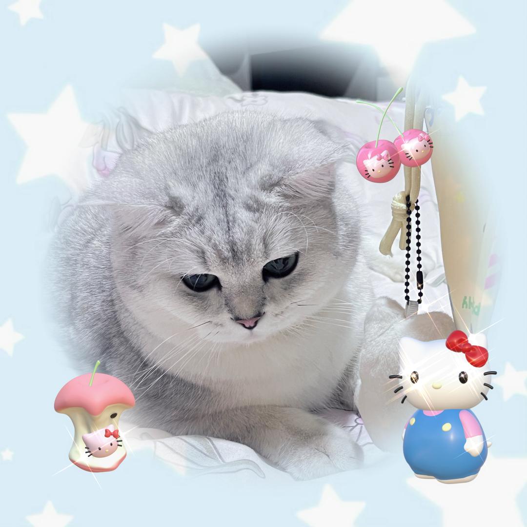 有福今天吃猫条了嘛