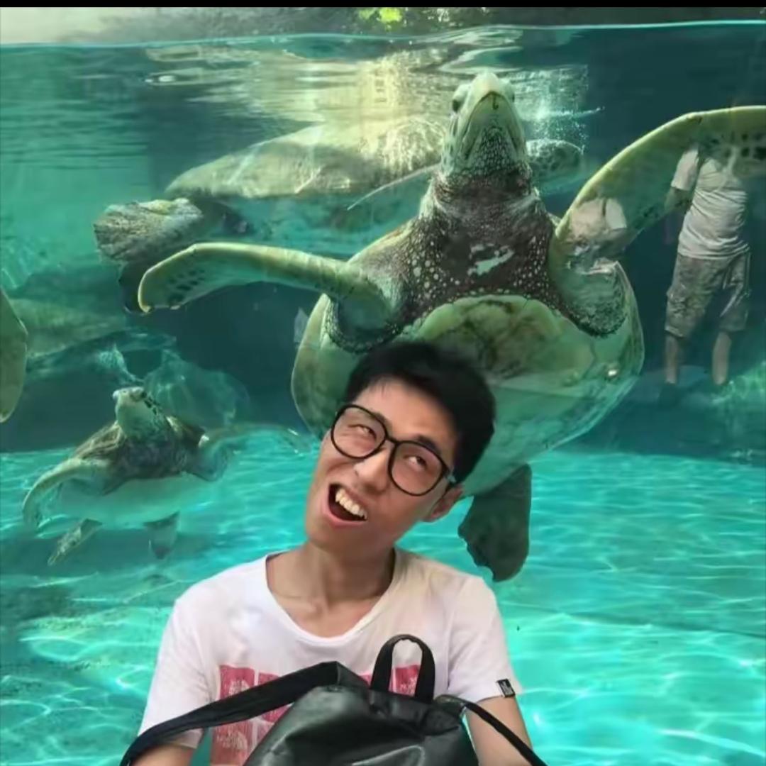 B哥(雀跃传媒)
