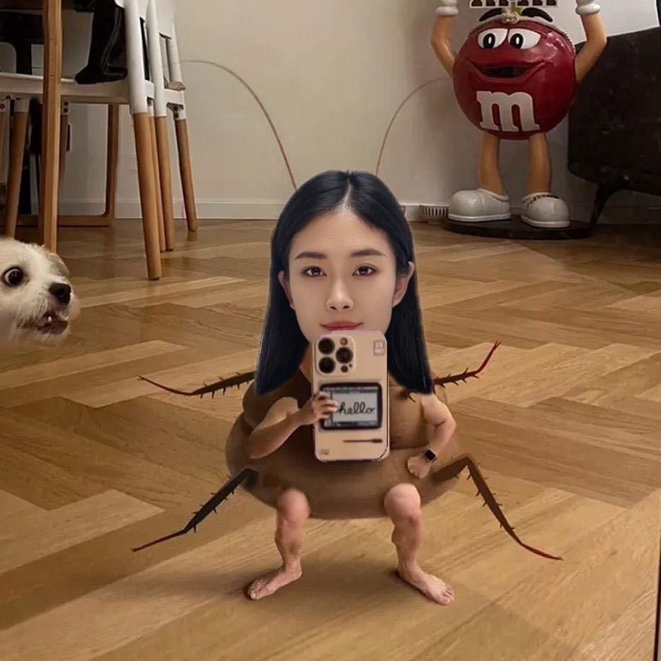 月亮吃遍安阳🍑