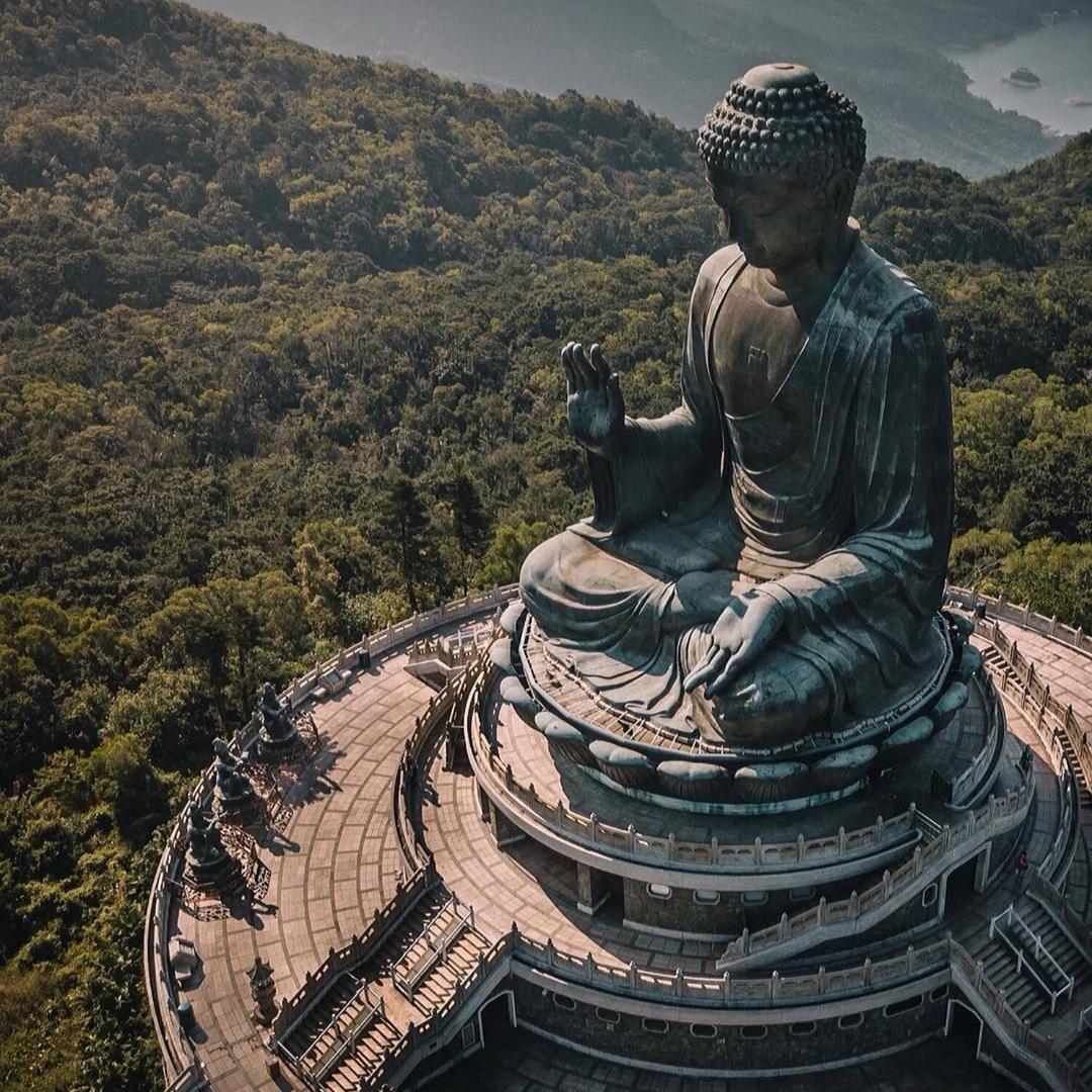 地胆头.理肺散.山货收购《靠谱》