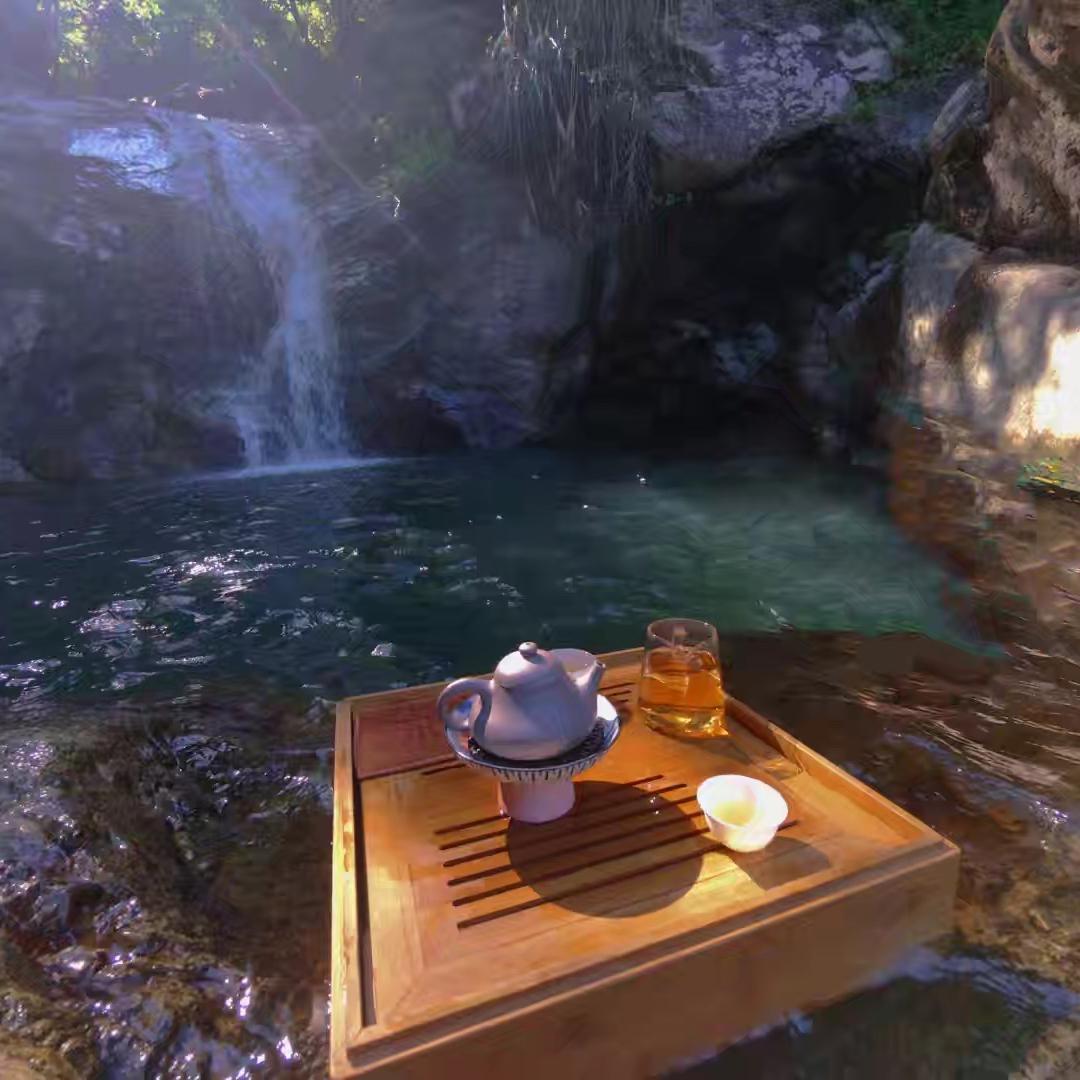 壶小语