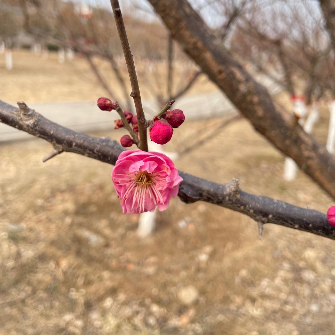 这几年