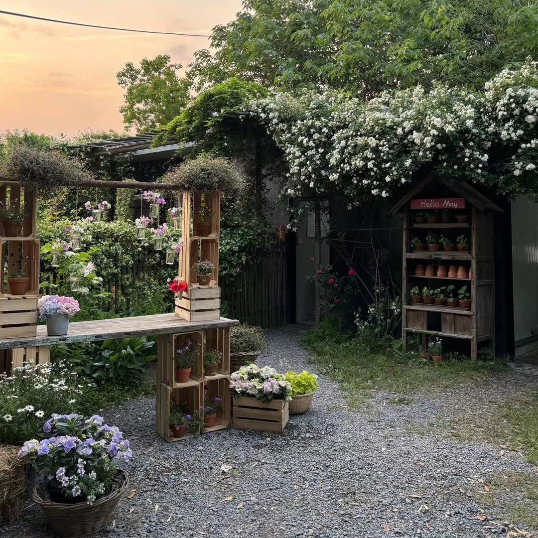 飞夏小院