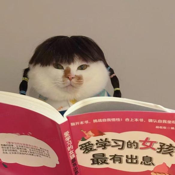 筱妹说古龙