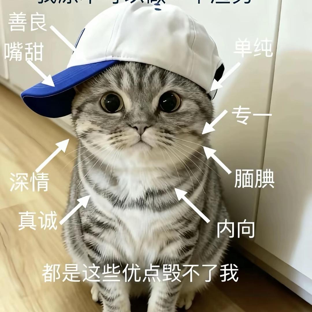 盖佳二