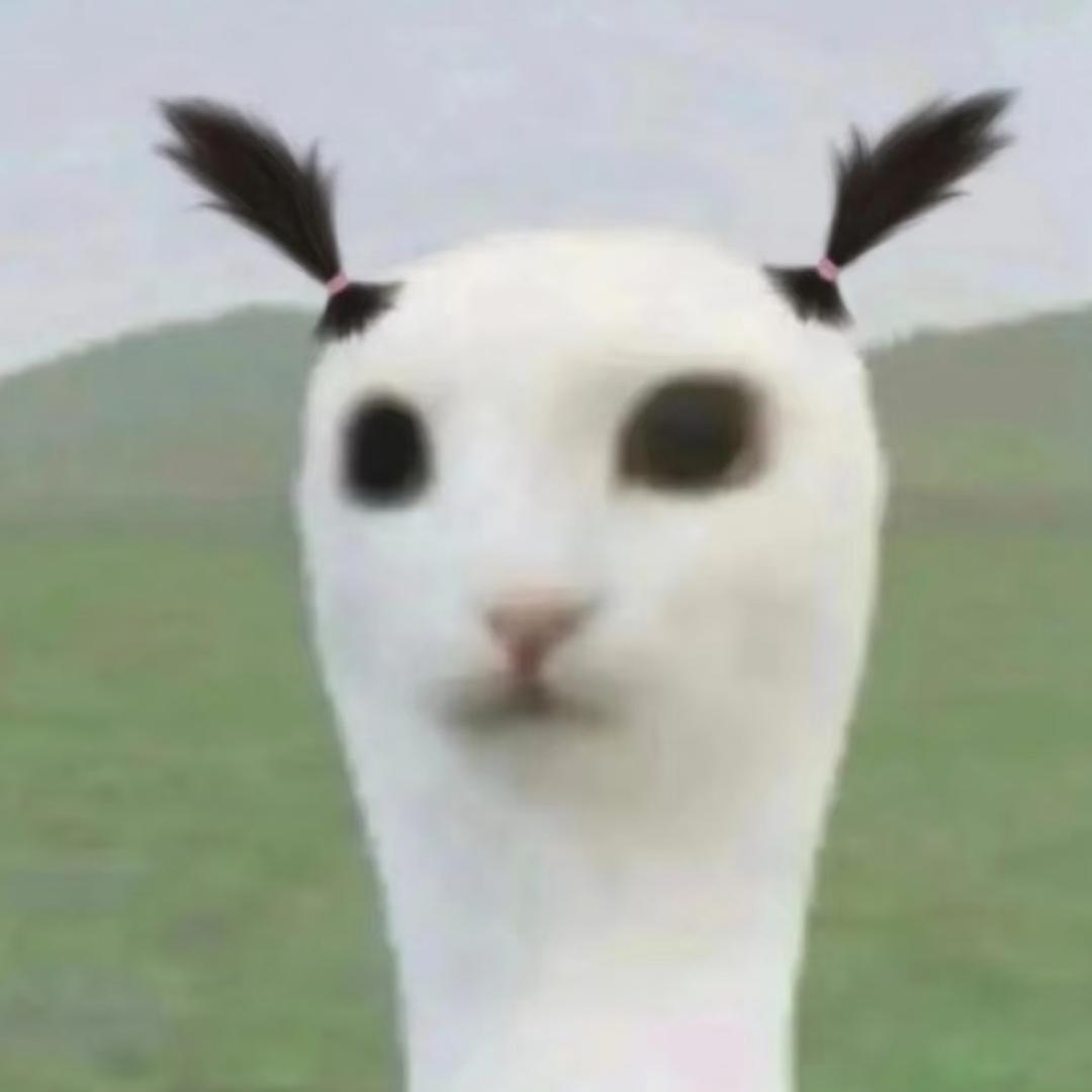 毛毛