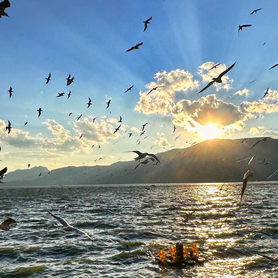 成都芙事亦生活坊