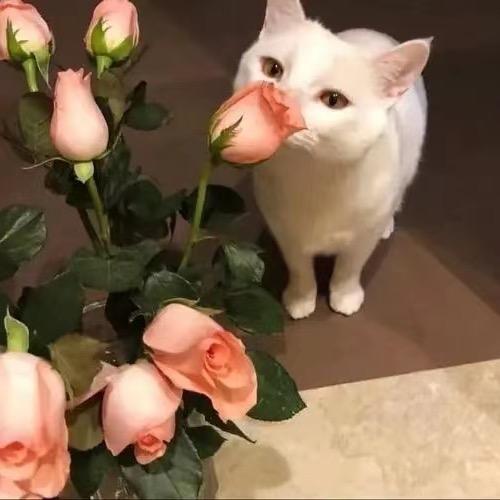 🌜