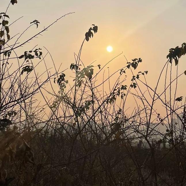 与秋赴约🍂