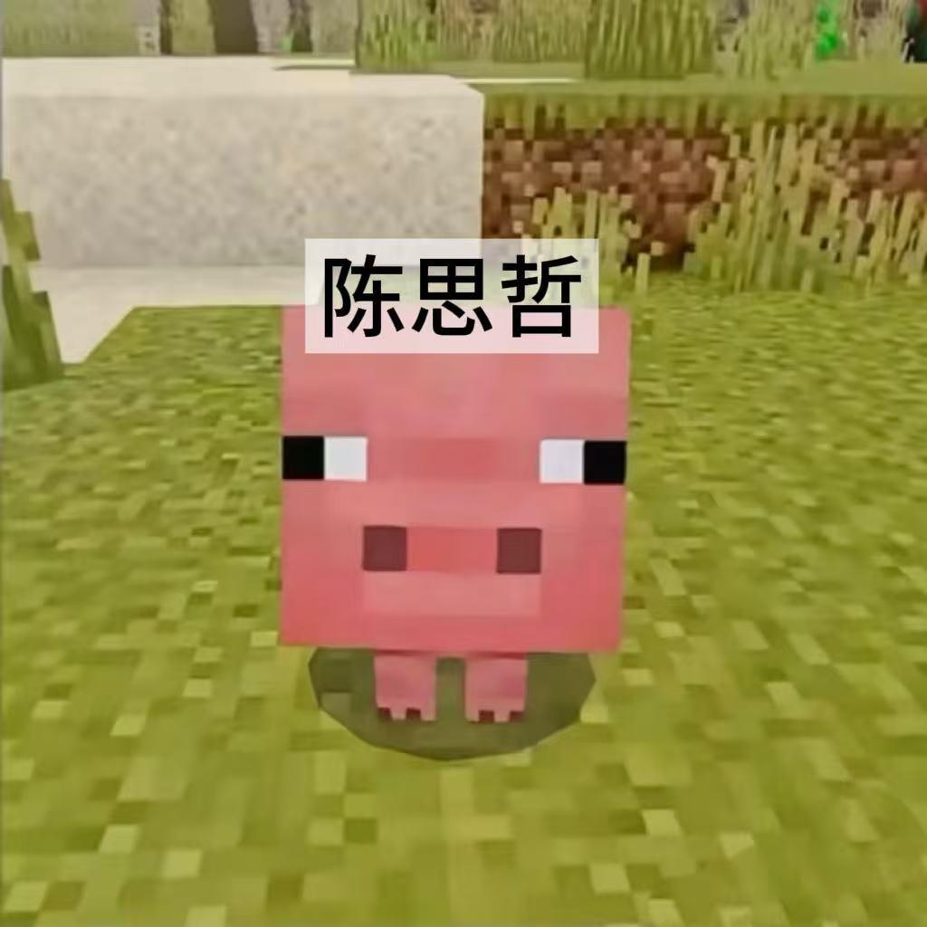 z’