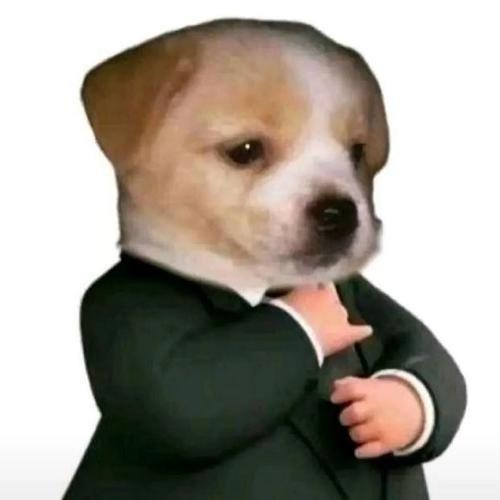 子寒先生