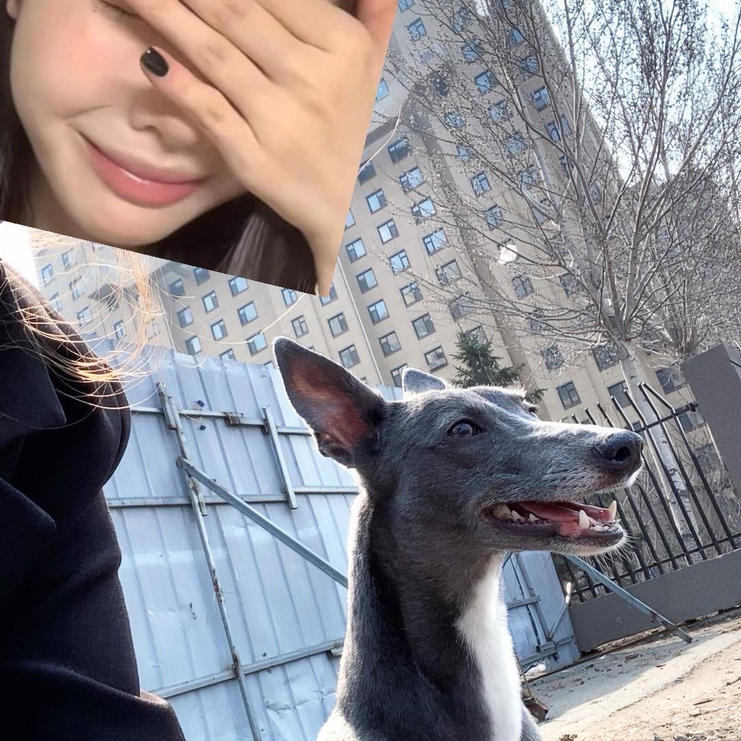 多点幸运🕊️