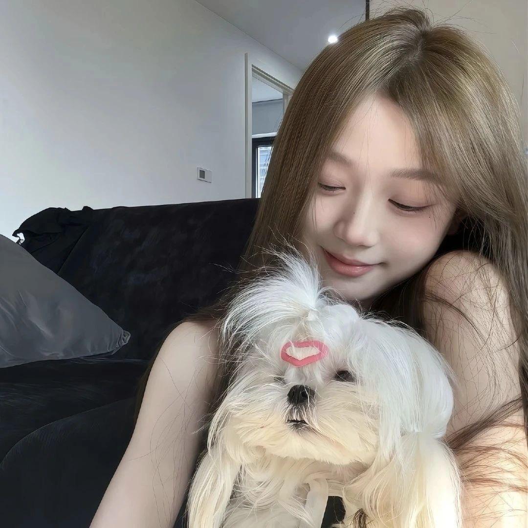 橙橙•