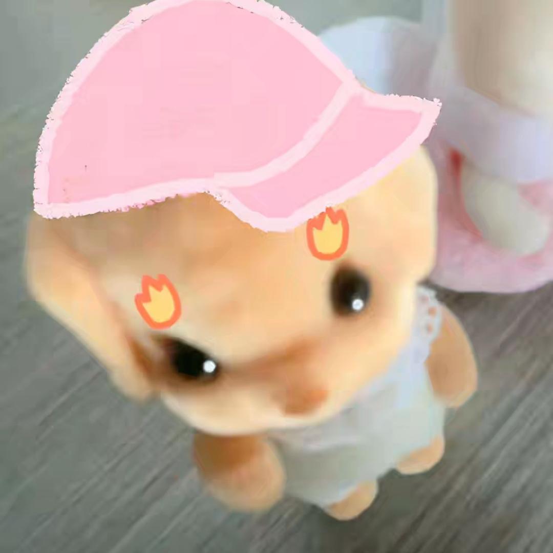 硬币