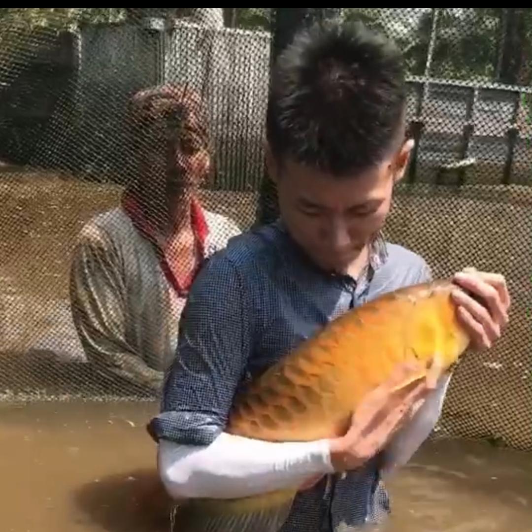 蓝粤