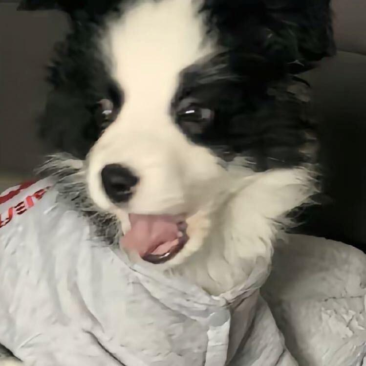 爷爷茶