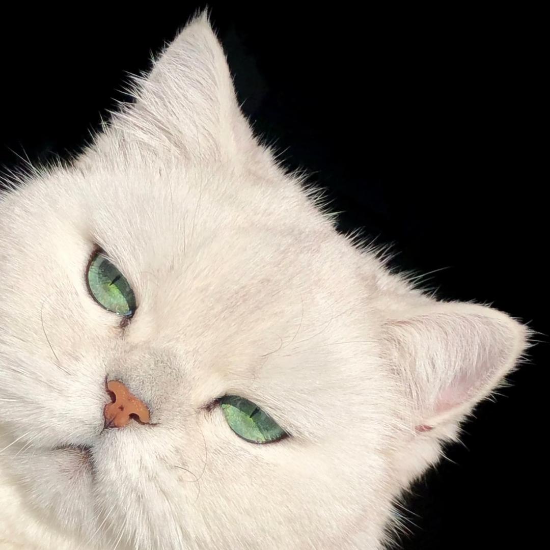 .•