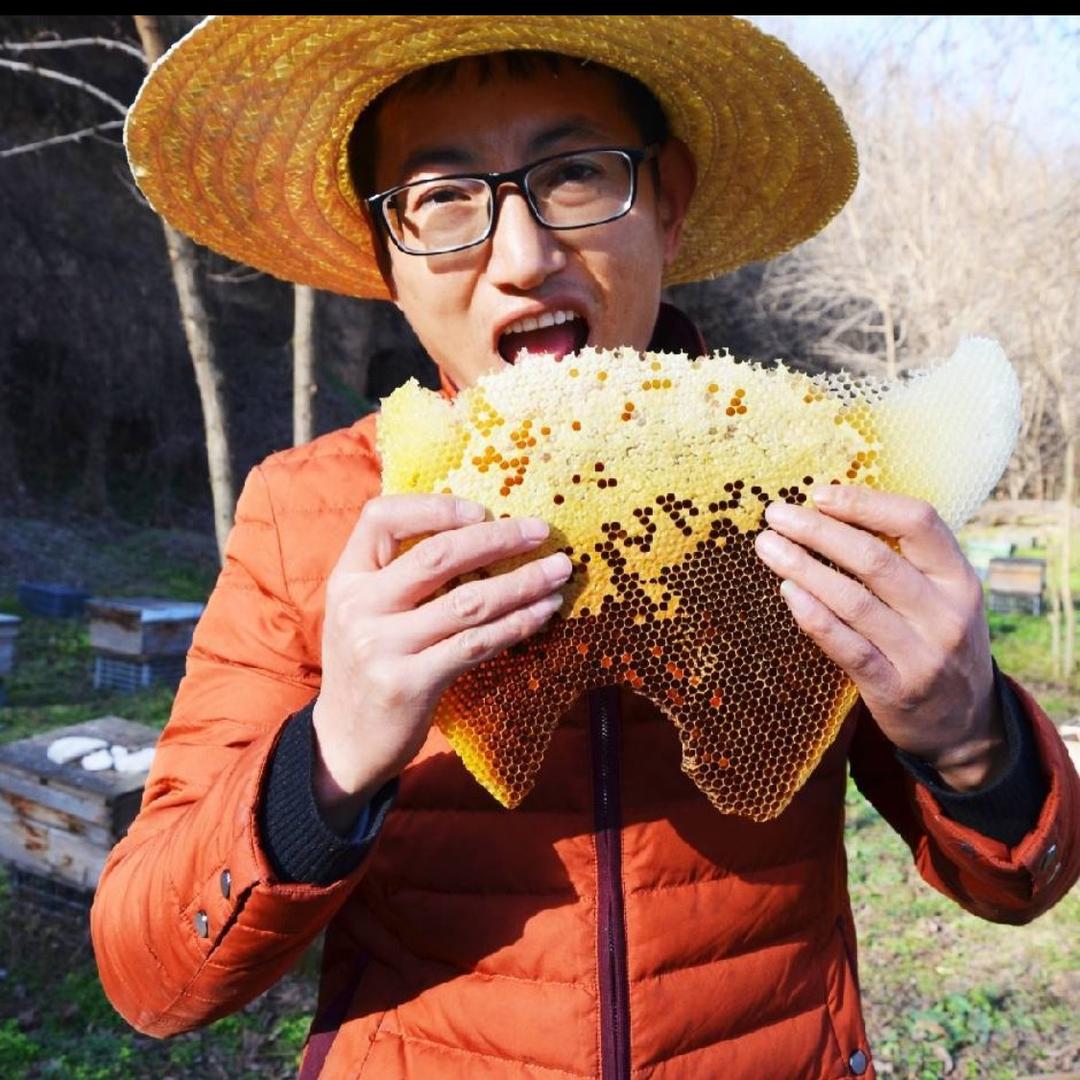陕西岭三蜂
