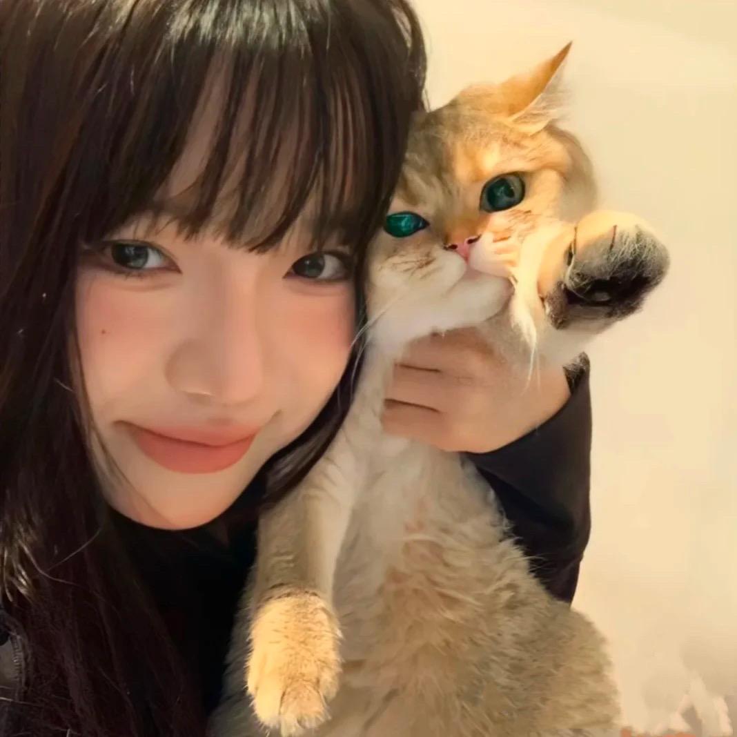 拾柒💜
