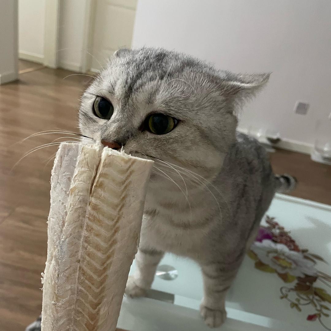 不4⃣️辣妹好烦