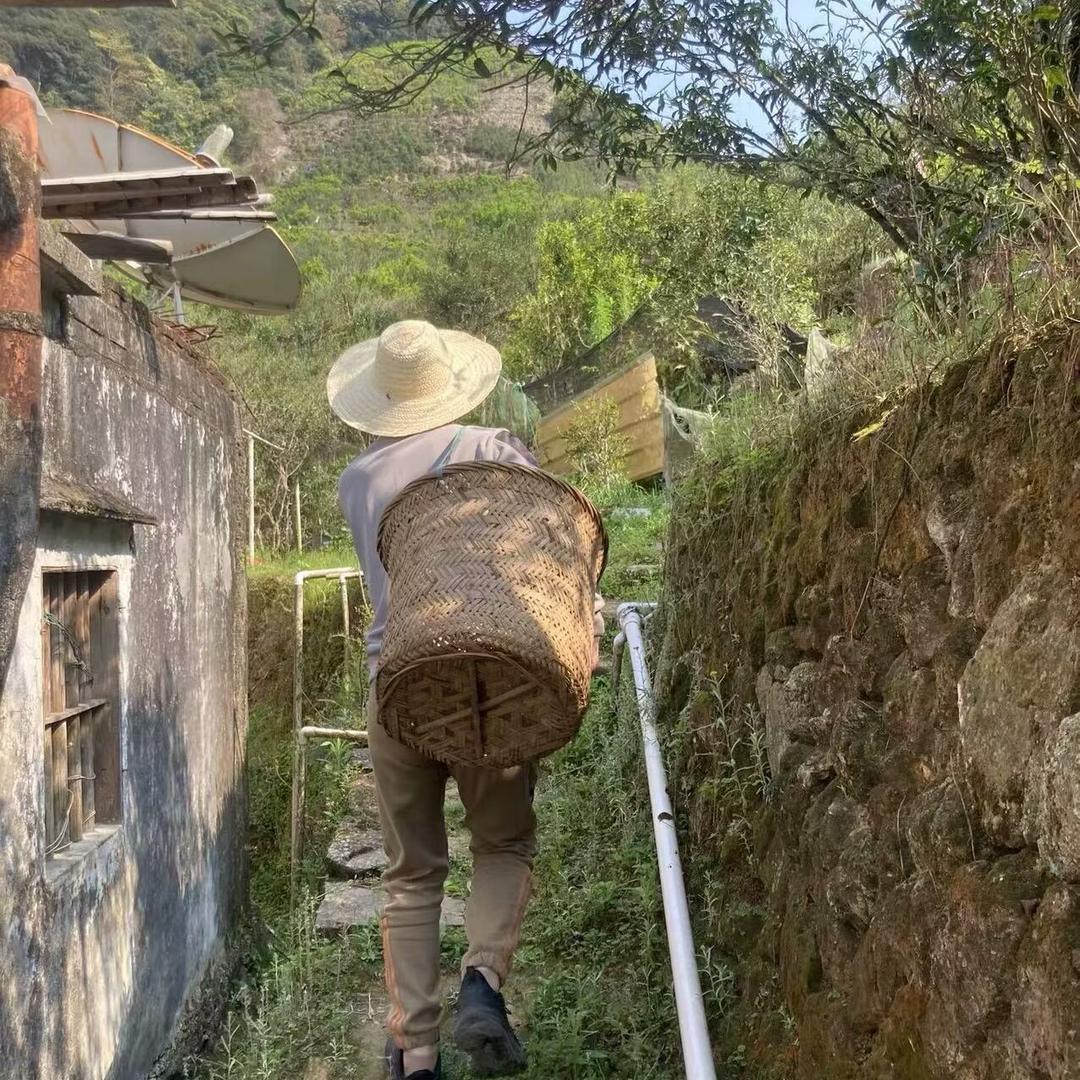 汕头市金平区枞韵香茶行