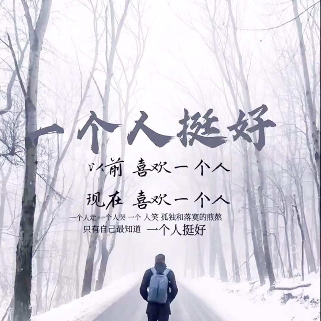 阳阳🐑