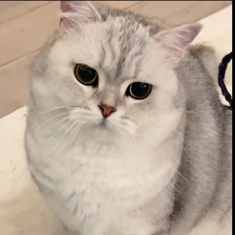余衍.