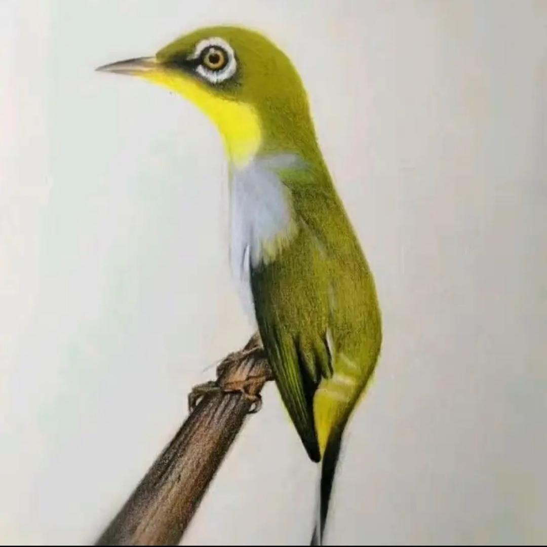 @玩物尚志