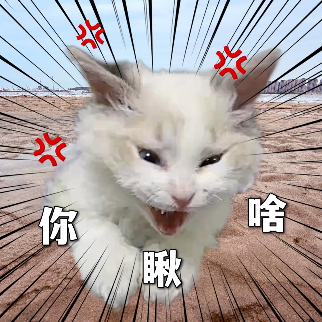 伊布不是汪汪酱