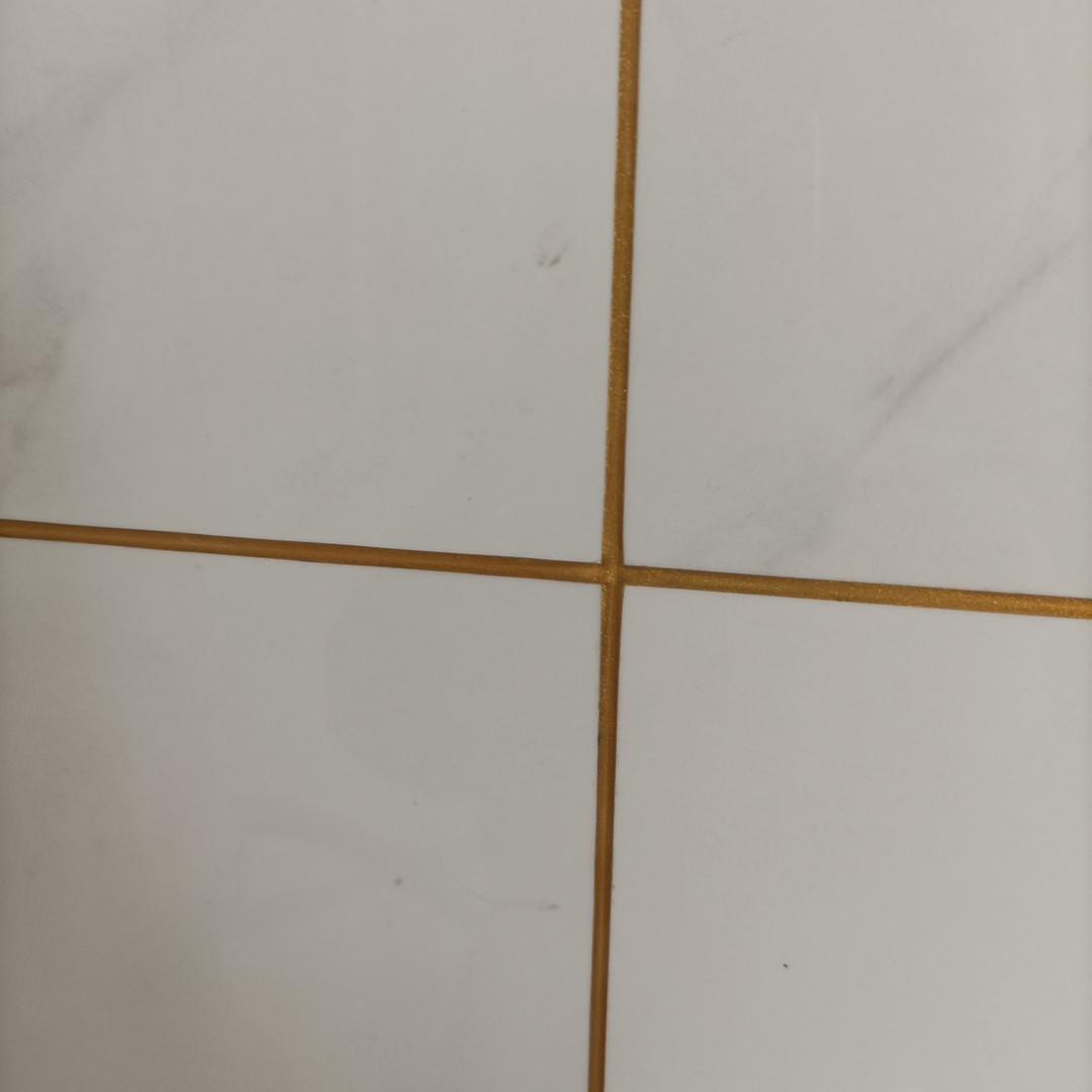 小伟在欧洲
