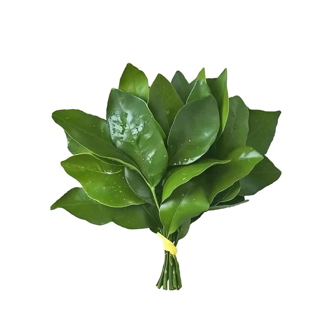 䅨䅨