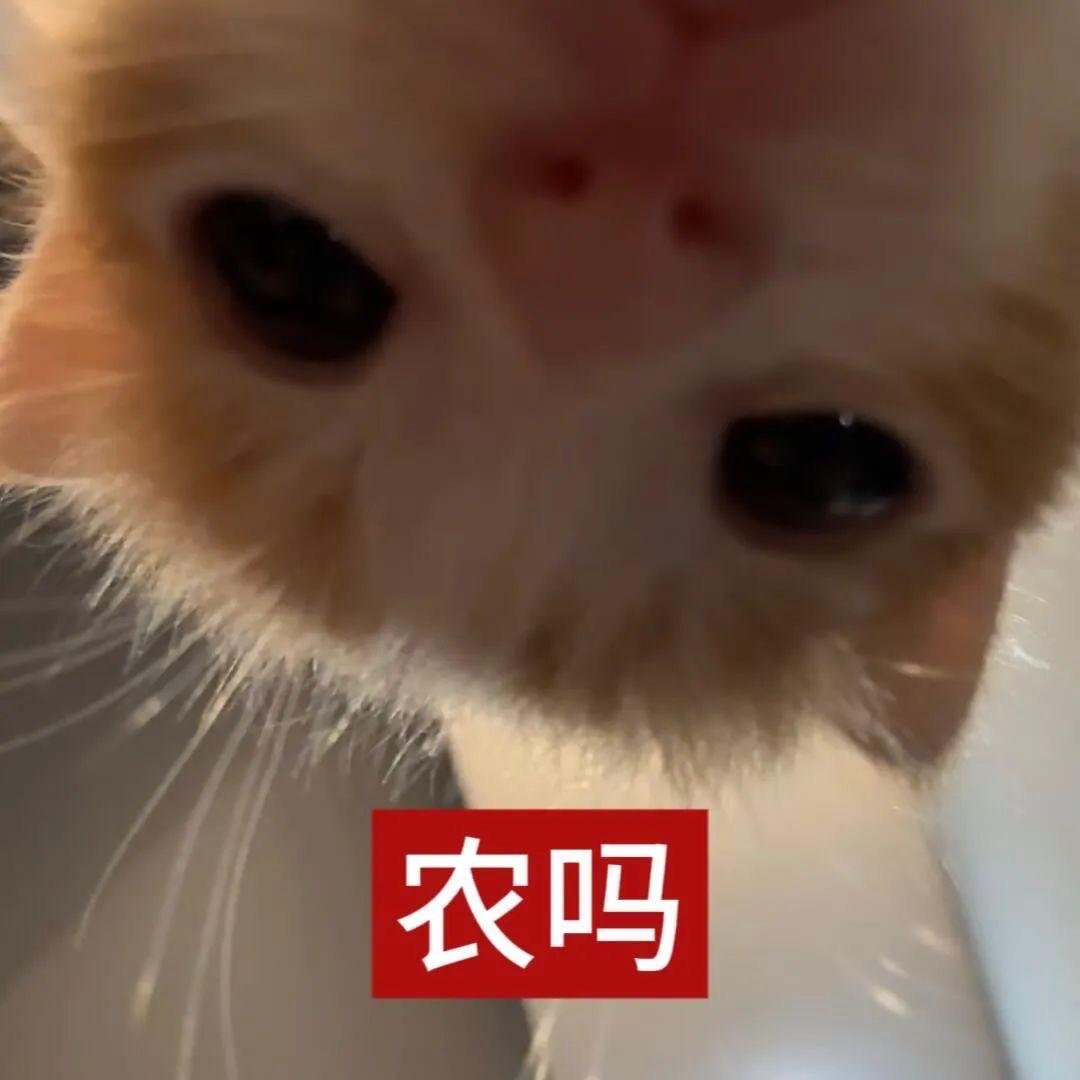 东京咪
