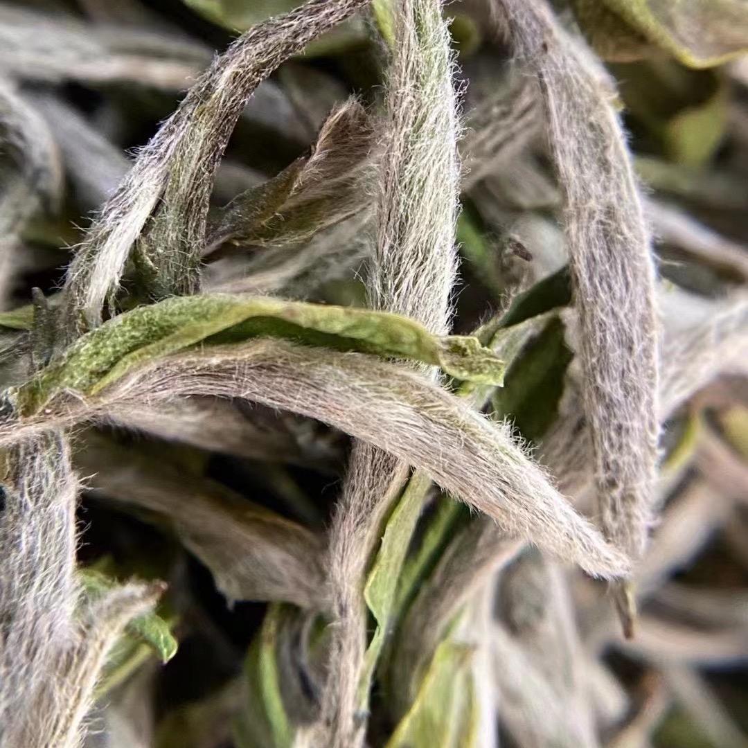 老于的茶