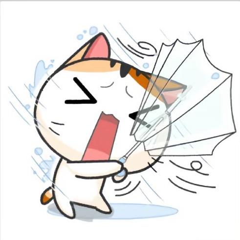脚趾豆