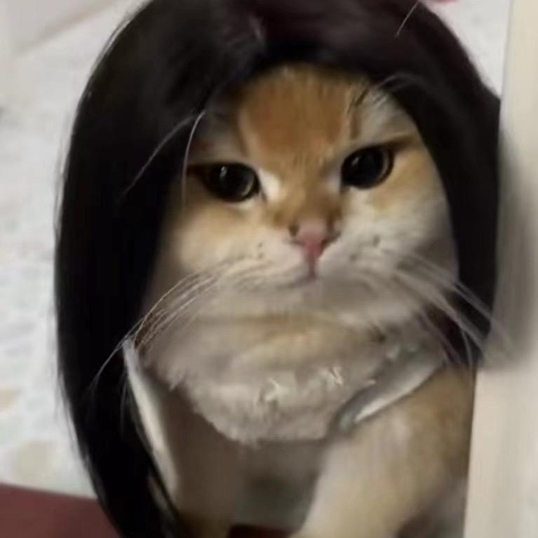 短腿反击