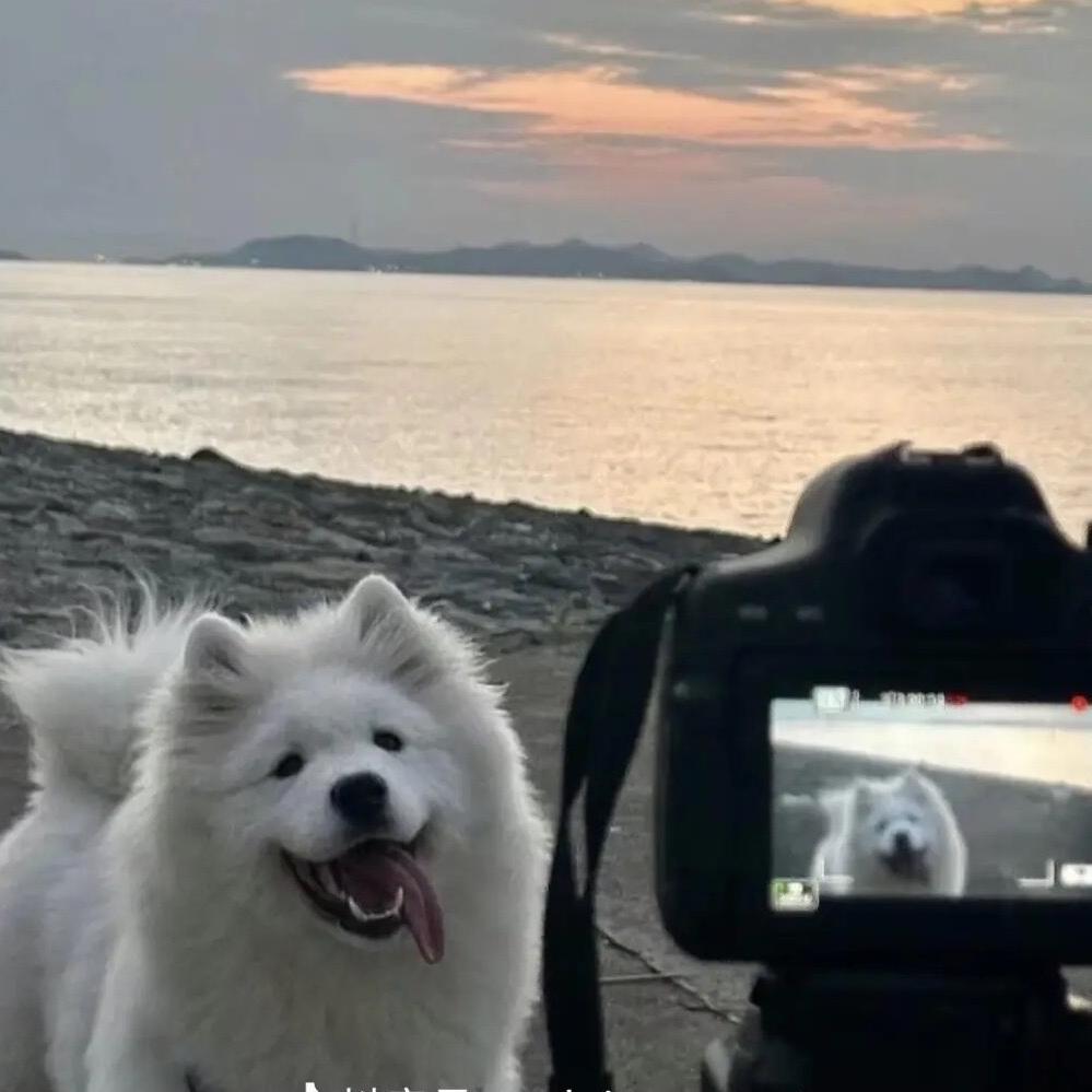 发少开百货