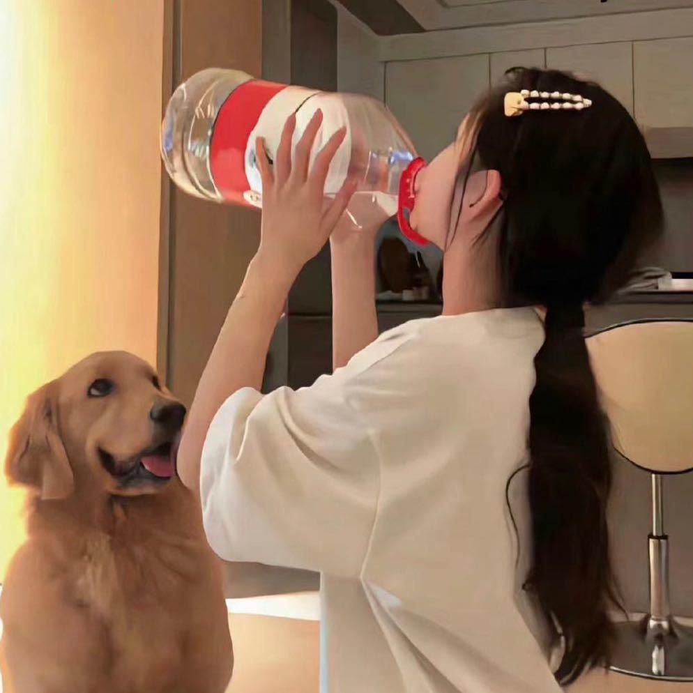 开始恍惚